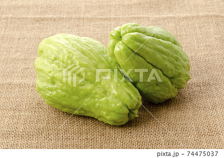 ハヤトウリ 74475037