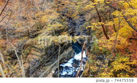 吾妻峡の秋 74475559
