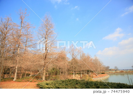 冬の公園 冬の公園 74475940