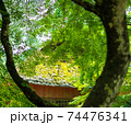 緑紅葉の素敵な景色 74476341
