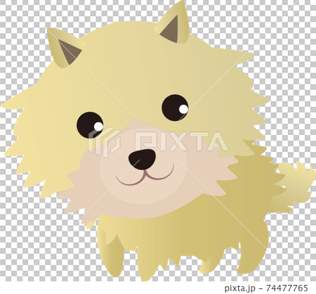 可愛いポメラニアン 横 のイラスト素材 可愛いポメラニアン 横 のイラスト素材