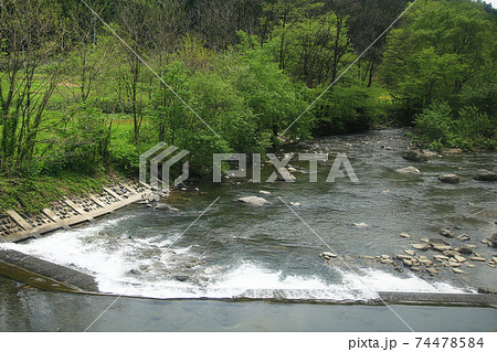 奥入瀬渓流　新緑　青森県 74478584