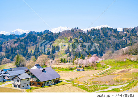 のどかな山村の風景（春）の写真素材 [74478982] - PIXTA