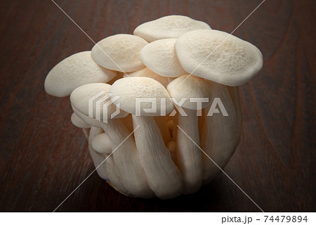 ホワイトブナシメジ ホワイトブナシメジ 74479894