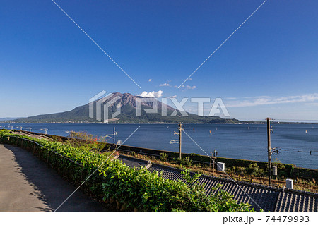 名勝仙巌園からみた桜島の風景　鹿児島県鹿児島市 74479993