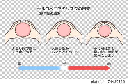 指わっかテスト 74480110
