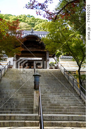 須磨寺 須磨寺 74480205