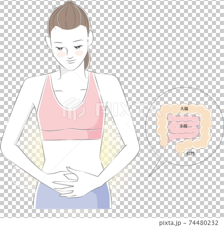 腸活のイラスト素材 腸活のイラスト素材