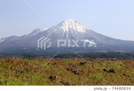 山陰伯耆大山望む春の土手 74480834