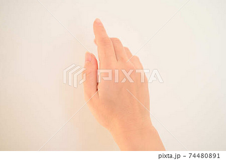 女性 手 女性 手 74480891