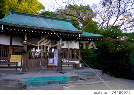 板宿八幡神社 板宿八幡神社 74480975