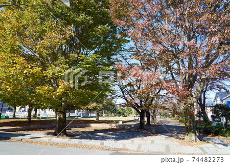 衹園原公園 秋 衹園原公園 秋 74482273