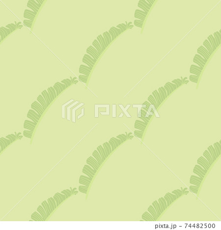 Flora tropical seamless pattern with diagonal fern leaves ornament. Light green pale palette. Simple design. 74482500