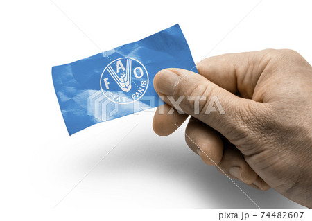 Hand holding a card with a national flag the Food and agriculture organization 74482607