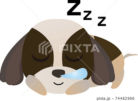 寝ている可愛いシーズー犬のイラスト素材