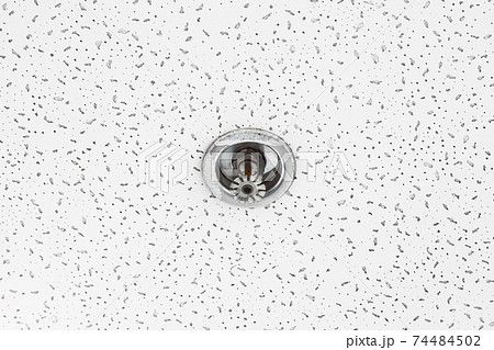 Image of pendent fire sprinkler in acoustic ceiling tile. Fire sprinklers are part of an overall safety protocol for fire and life safety. 74484502