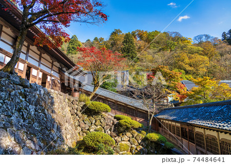 永平寺 (11月　秋　晴れ) 74484641