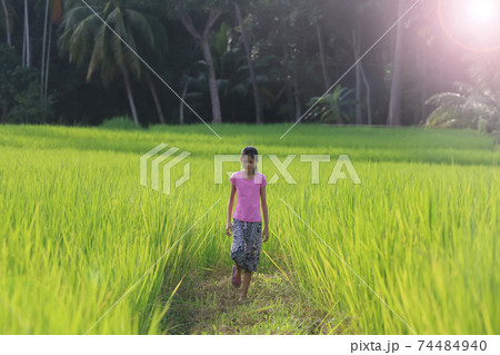 Asian girls walking in the evening rice fields 74484940
