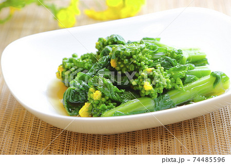 菜の花のおひたし 菜の花のおひたし 74485596