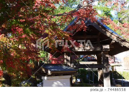 くん静山薬王寺の紅葉　　＃13 74486558