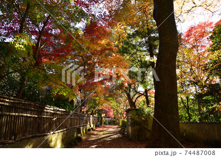 くん静山薬王寺の紅葉 #30 くん静山薬王寺の紅葉 #30 74487008
