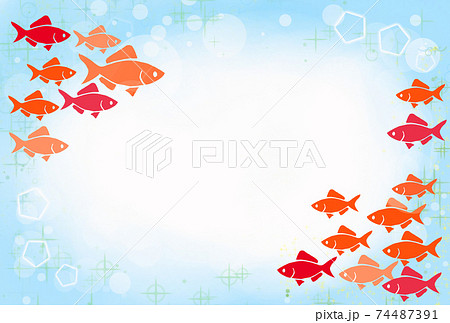 金魚が泳いでいる横向きフレームのイラストのイラスト素材
