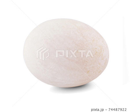 duck egg isolated on white background duck egg isolated on white background 74487922