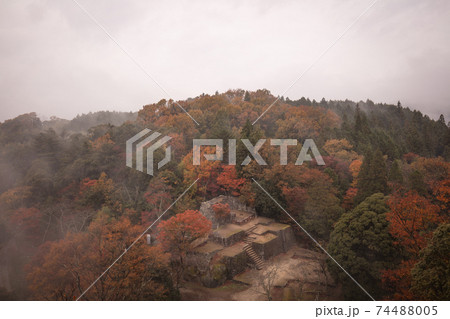 岐阜県 苗木城跡 紅葉 74488005