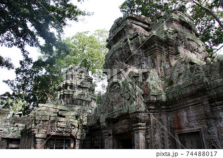 タ・プローム遺跡 カンボジア タ・プローム遺跡 カンボジア 74488017
