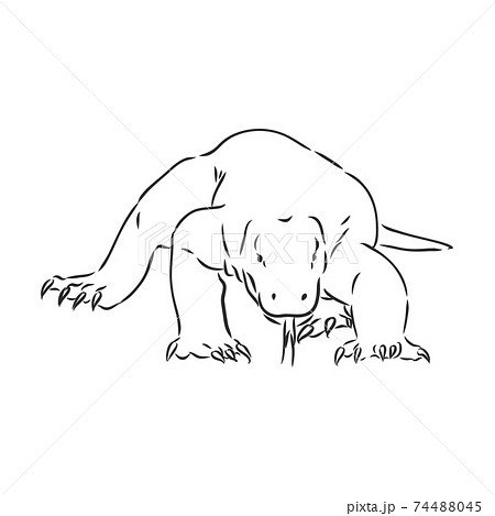 hand drawn, sketch illustration of Komodo dragon. varan vector sketch illustration hand drawn, sketch illustration of Komodo dragon. varan vector sketch illustration 74488045