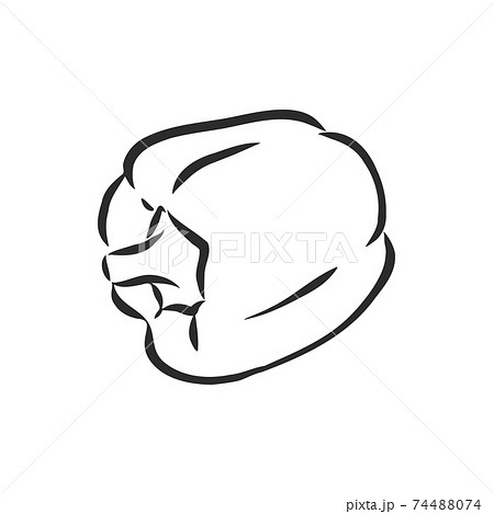 Sweet Pepper Vector Hand Drawn Vegetables のイラスト素材