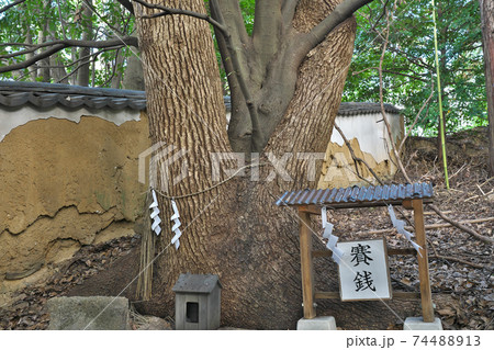 【鶴崎神社 (縁結びの木)】 岡山県都窪郡早島町早島 【鶴崎神社 (縁結びの木)】 岡山県都窪郡早島町早島 74488913