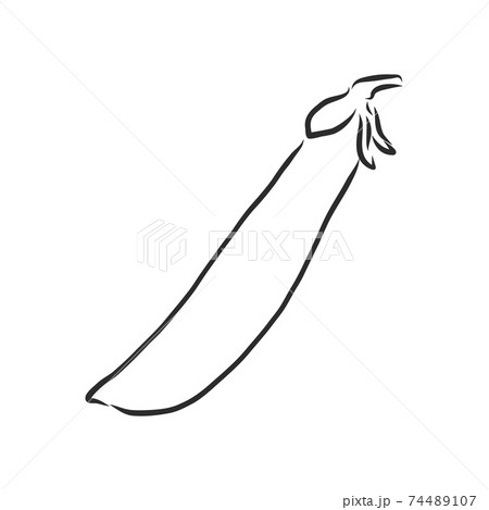 Hand drawn sketch peas sketch set. Vector organic food illustration isolated on white background. pea vector sketch illustration Hand drawn sketch peas sketch set. Vector organic food illustration isolated on white background. pea vector sketch illustration 74489107