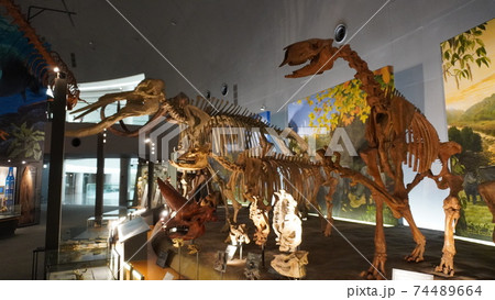 福井県立恐竜博物館 福井県立恐竜博物館 74489664