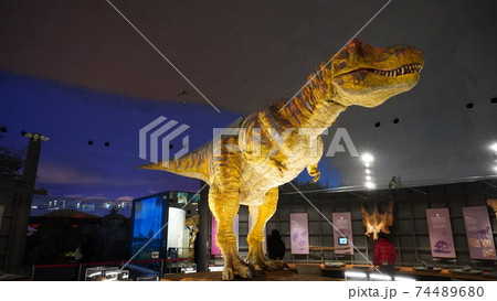 福井県立恐竜博物館 福井県立恐竜博物館 74489680