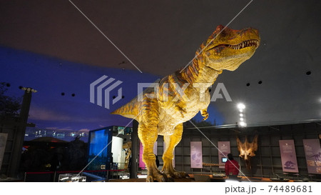 福井県立恐竜博物館 74489681