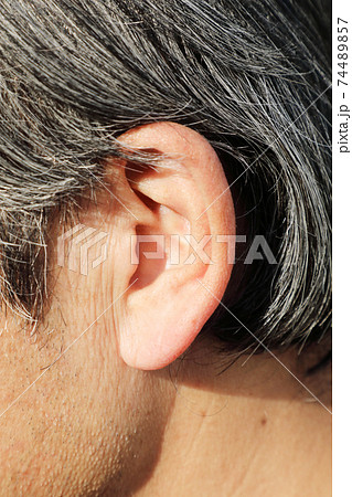 耳 74489857