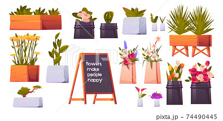 Flower Shop Set Potted Plants And Bonsai Isolatedのイラスト素材