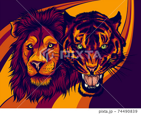 Angry Male Lion versus Angry Tiger vector illustration. 74490839
