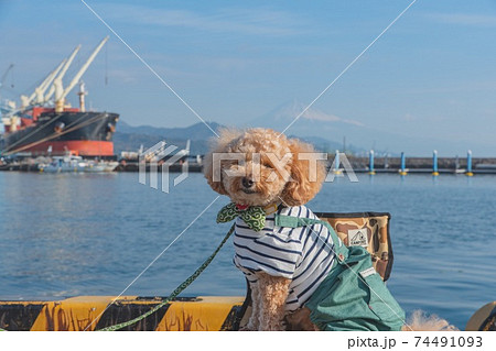 清水散策 清水散策 74491093