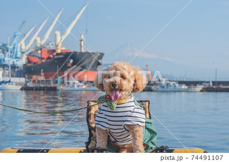 清水散策 清水散策 74491107