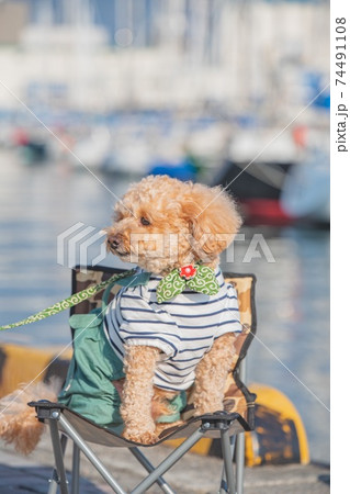 清水散策 74491108