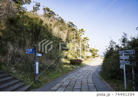 湘南三浦半島の景勝地神奈川県横須賀市観音崎公園の冬 74491204