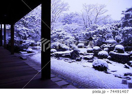 雪の庭で有名な京都妙満寺 74491407