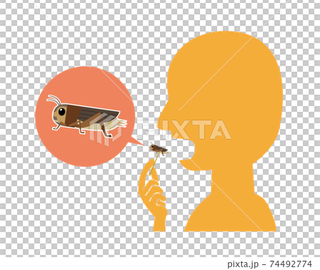 食用コオロギを食べる人のイラスト 74492774