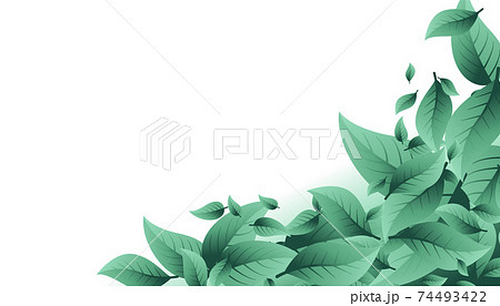 nature background with many leaves and text space nature background with many leaves and text space 74493422