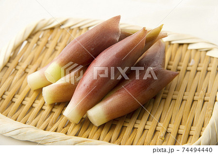 みょうが みょうが 74494440