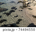 逗子の砂浜と磯場 74494550