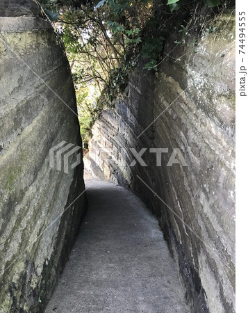 観音崎の細道 74494555