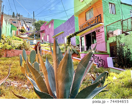 メキシコのカラフルな街パチューカ 74494655